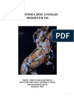 Apostila Completa Anatomia Veterinaria