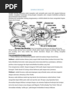 Kompas Geologi