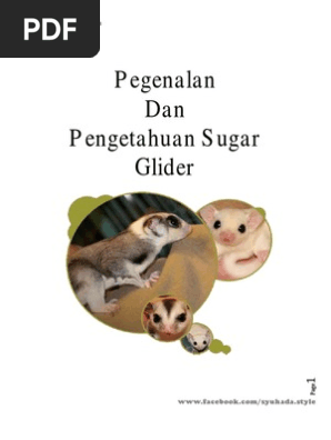 Pengenalan Dan Pengetahuan Sugar Glider  PDF