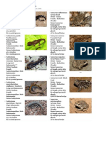 Amphibians: Study Online at