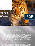 Puterea Tigrului