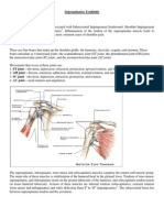 Supraspinatus Tendinitis