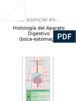 Histología del Aparato Digestivo