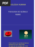 Fisiologia_do_Glóbulo_Vermelho