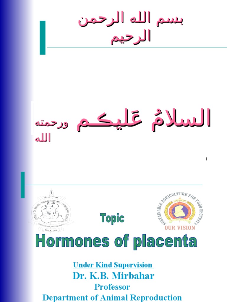 Overview of Placental Hormones | PDF | Gonadotropin | Progesterone
