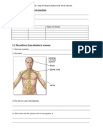 1.1 Sensory Organs and Their Functions