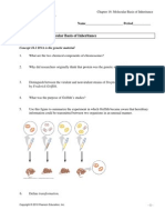 Chapter 16 Molecular Basis of Inheritance