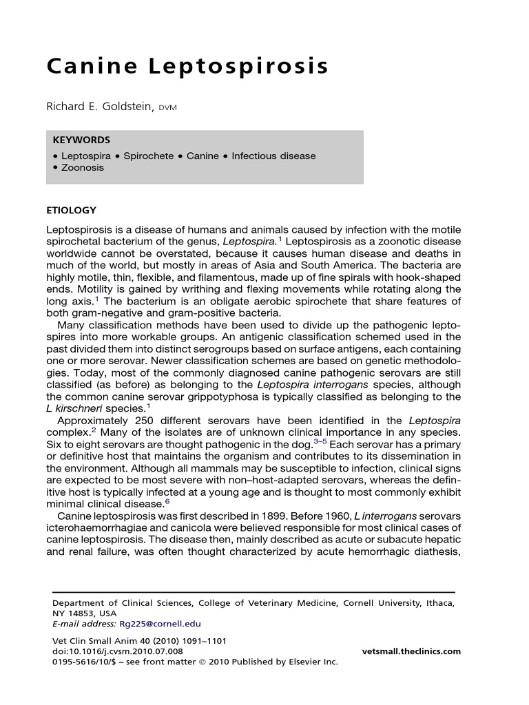 Canine Leptospirosis Infection Public Health