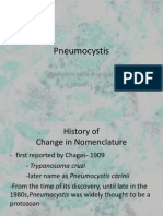 Pneumocystis