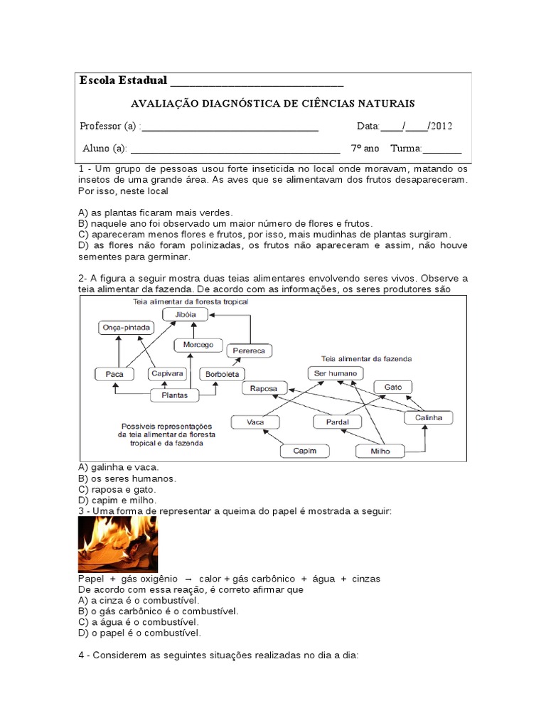 Avaliação Diagnóstica  Ciências  7º Ano | Natureza | Ecossistema
