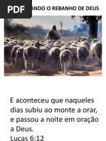 Apascentando o Rebanho de Deus