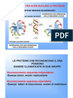 3B Dna