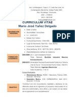 Mario Yañez Resumen Curricular