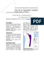 Primer Reporte de La Calandria Castaña