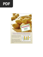 Download Test results of Apsa-80 on Potato by The entrepreneur SN19857813 doc pdf