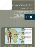 (4) La Evolucion de Los Hominidos