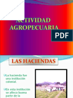 Actividad Agropecuaria