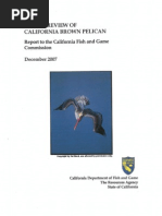 Br Pest at Us Review Jan 0308