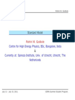 Standard Model 2