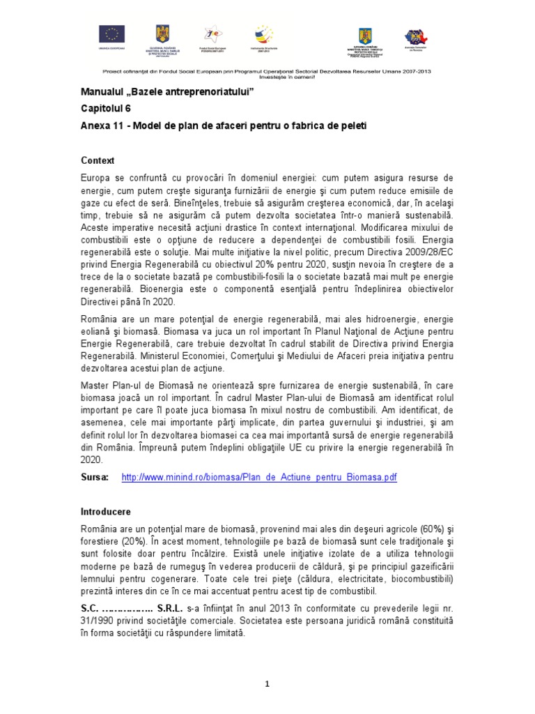 Business plan fabrica de peleti 05 image