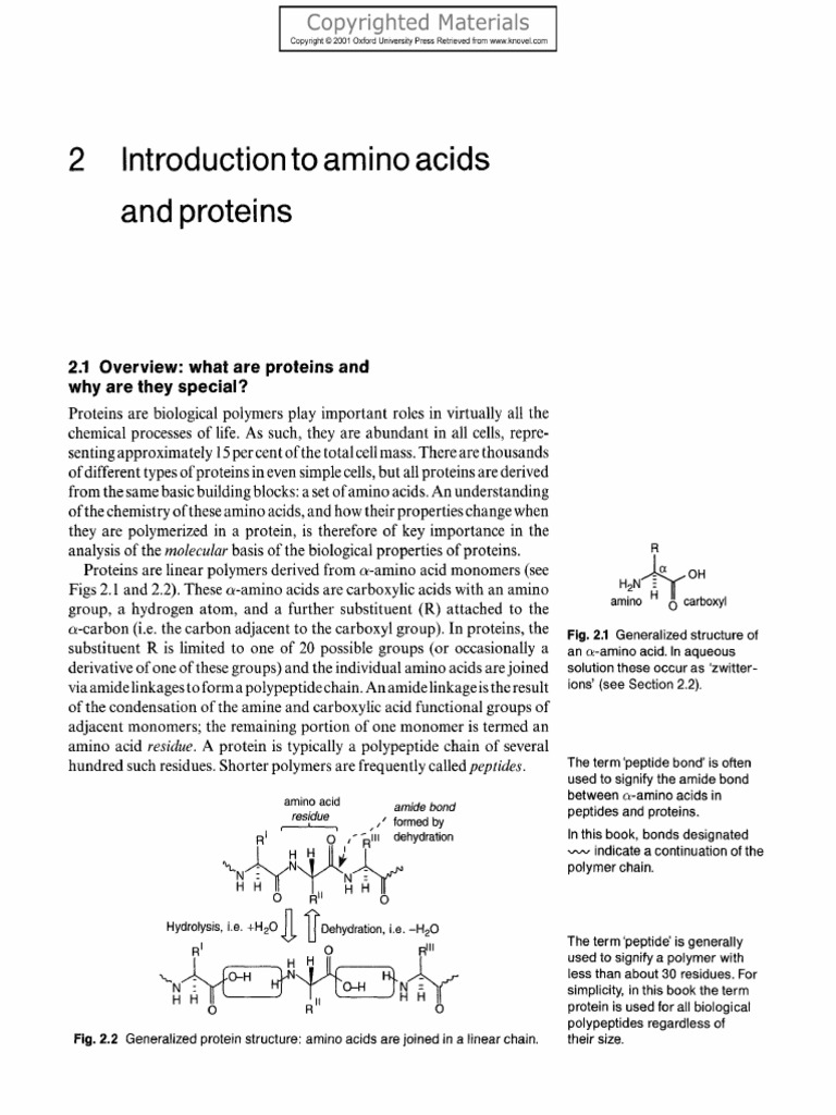 Stability assessment of nalidixic acid biology essay 06 picture