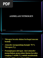 Download XIII-XIV Asimilasi Nitrogen by cHuAz TeeKaa SN19875984 doc pdf