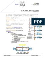 Duplicación Adn Ficha Rapida Contenidos PDF