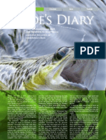 Guides Diary June