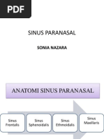 Download Sinus Paranasal by Debbi Anggraini SN198803142 doc pdf