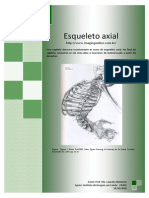 Esqueleto Axial