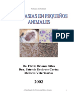 Neoplasias en Pequenos animales.pdf