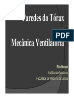 Paredes Do Torax. Diafragma. Mecanica Ventilatoria