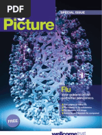 Download Big Picture on Influenza by Wellcome Trust SN19889367 doc pdf