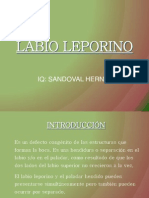 Labio Lepori No