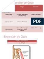 Extensión de Codo EXPO