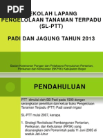 Download Slptt Padi  Jagung 2013 by Ilham Ismail SN198924506 doc pdf