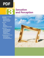 Sensation and Perception