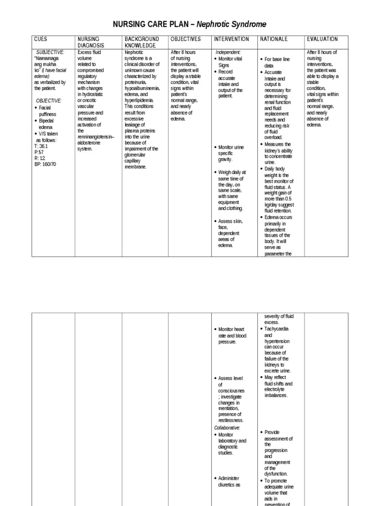 NCP Nephrotic Syndrome PDF Edema Kidney