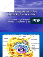 structura celulei 