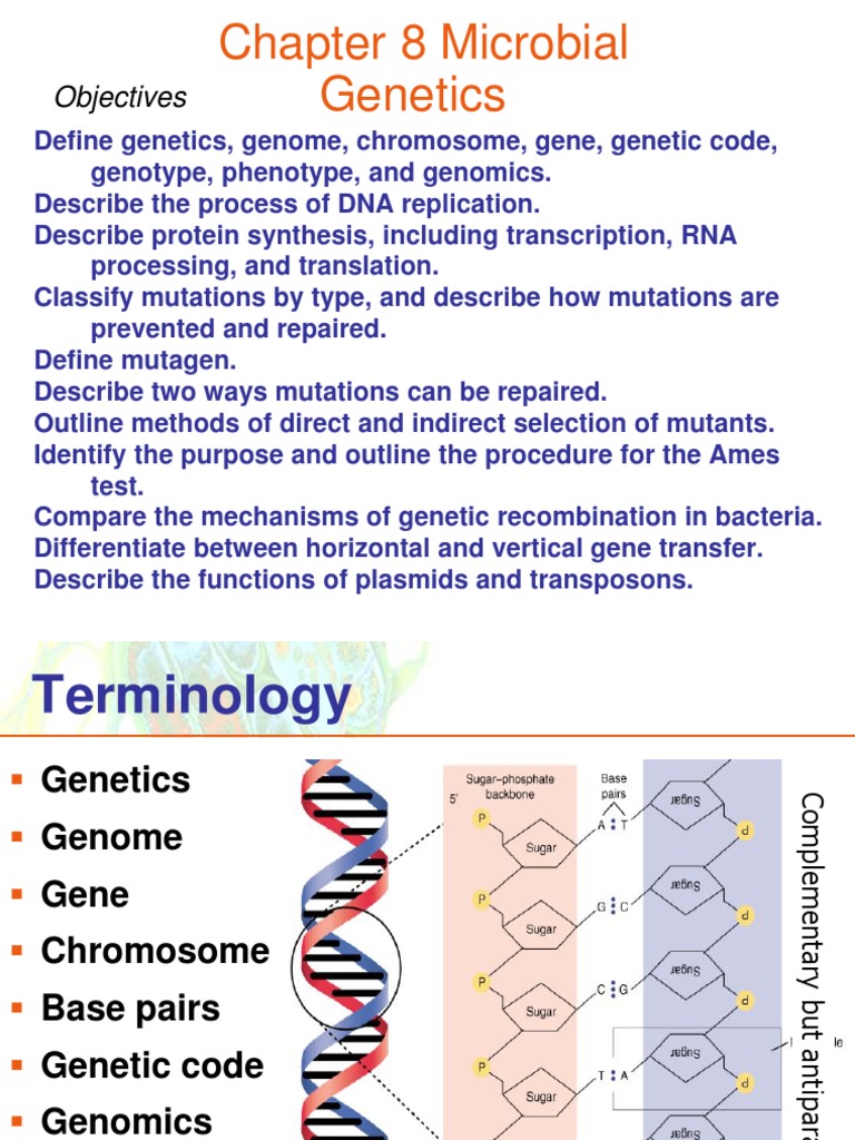 Types Of Microbial Genetics _ Microbiology of Microbial Genetics – GWGK