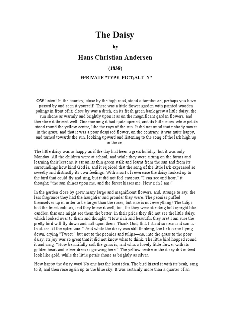 The Daisy: A Tale of Kindness and Loss | PDF