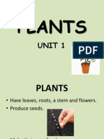 Unit 1. Plants