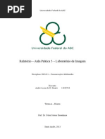 Relatório 5 Comunicações Multimídia