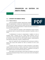 Introdução Ao Estudo Do Direito Penal