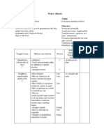 Proiect Didactic