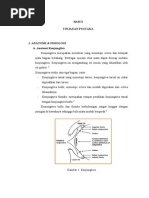 Download pterigium by Izni Ayuni SN199103874 doc pdf