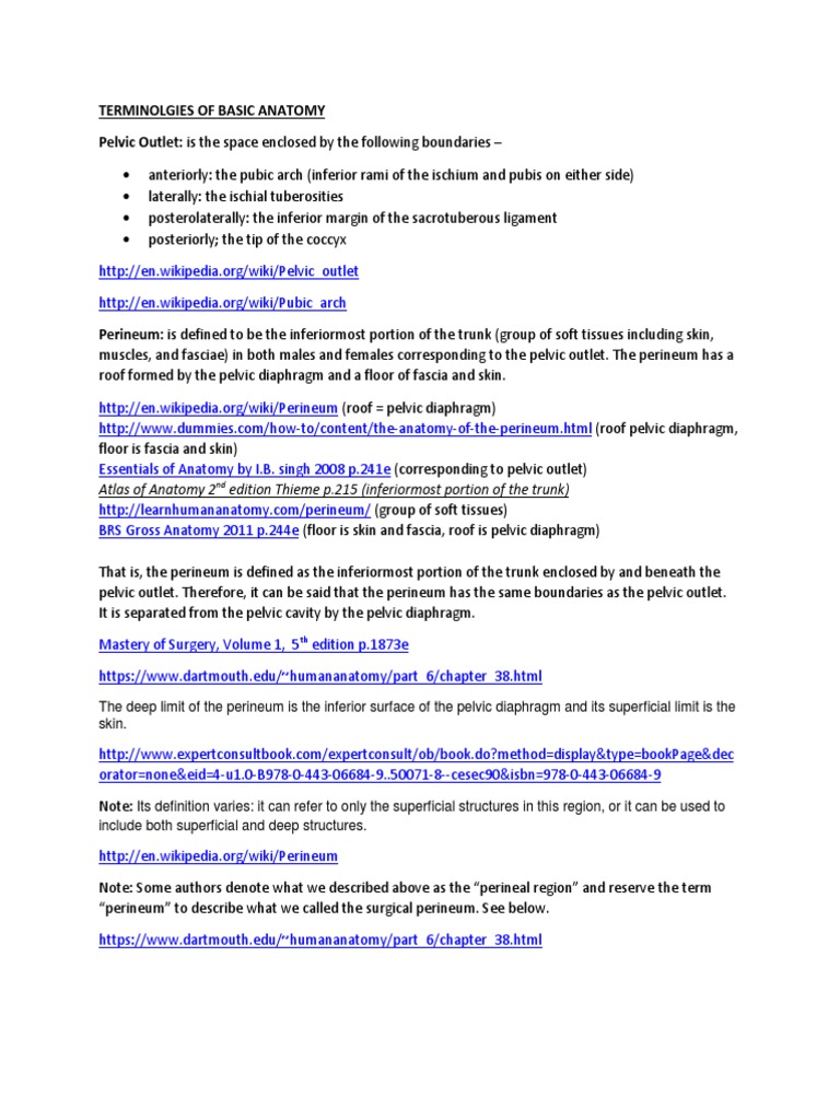 Genitourinary System Urinary Bladder Urination