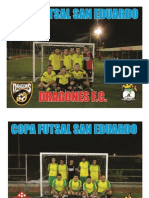 Equipos Cfse Masculino 2013-2014 PDF