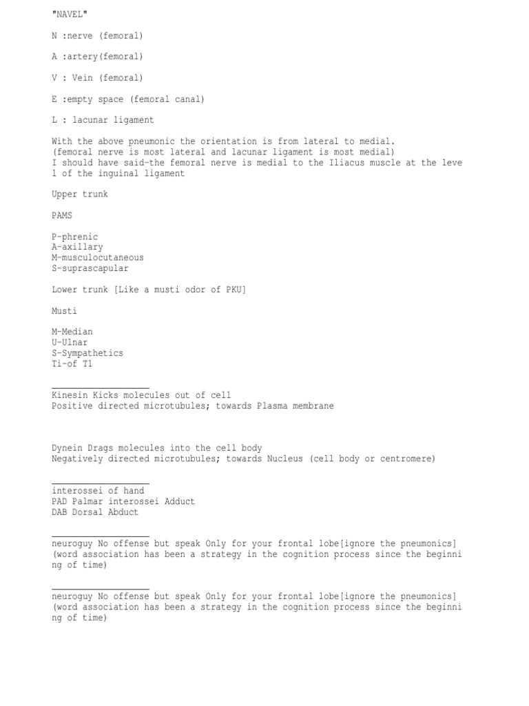 Anatomy Mnemonics PDF Human Head And Neck Neuroanatomy