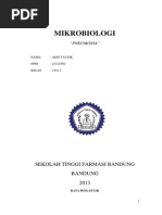 Download MakalahPneumoniabyAditTaufikSN199175231 doc pdf